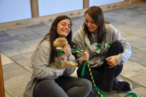 2 females with a dog