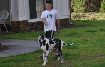 Countryside Pet Estate young male worker walking a dog